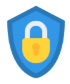 Security Icon